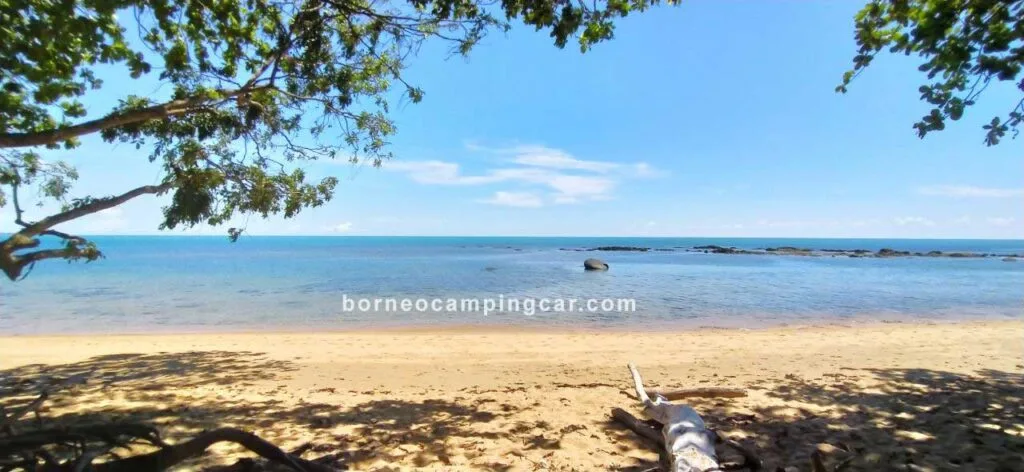 penangkaran penyu kalimantan barat