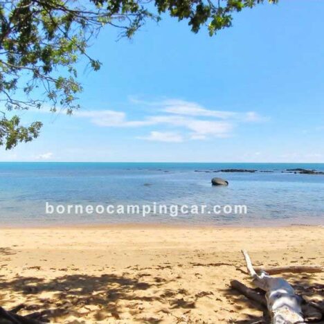 Wisata Temajuk Sambas, Monitoring Penyu Bertelur, Camping tepi pantai
