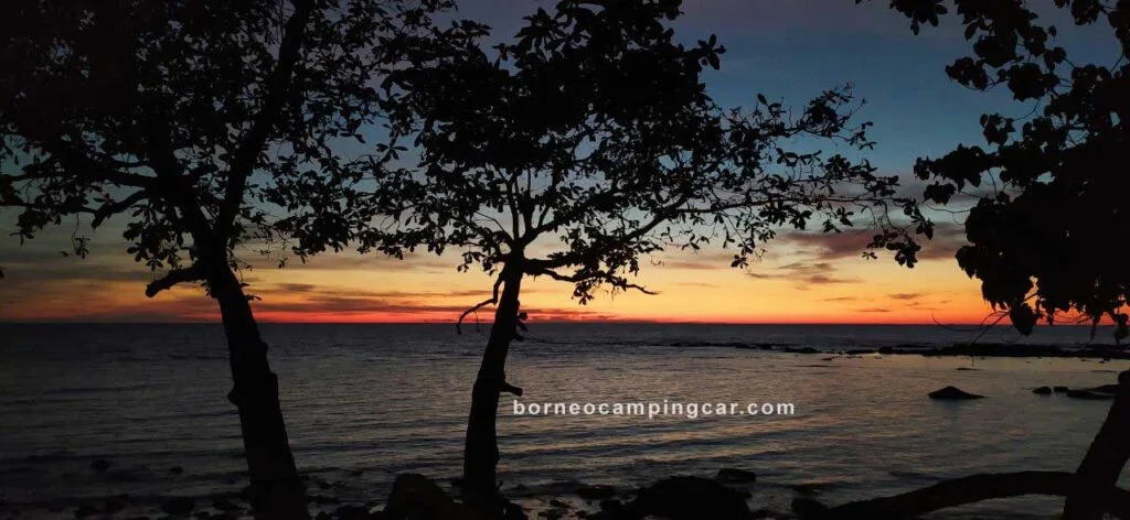 penangkaran penyu kalimantan barat