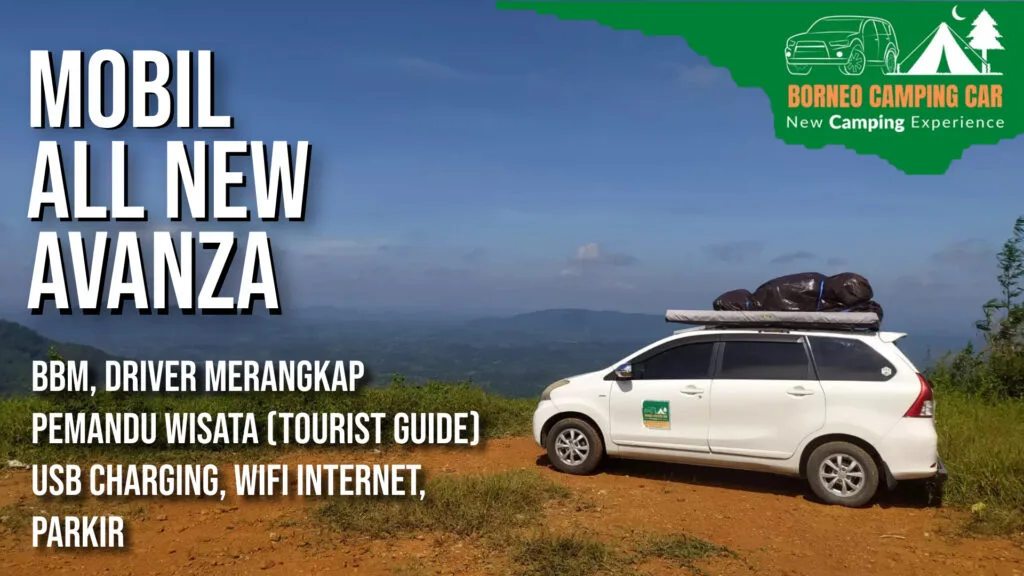 penangkaran penyu kalimantan barat