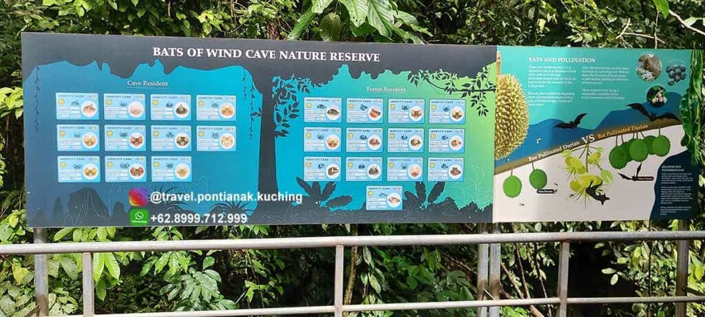 wind cave sarawak