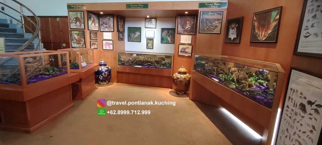 cat museum kuching